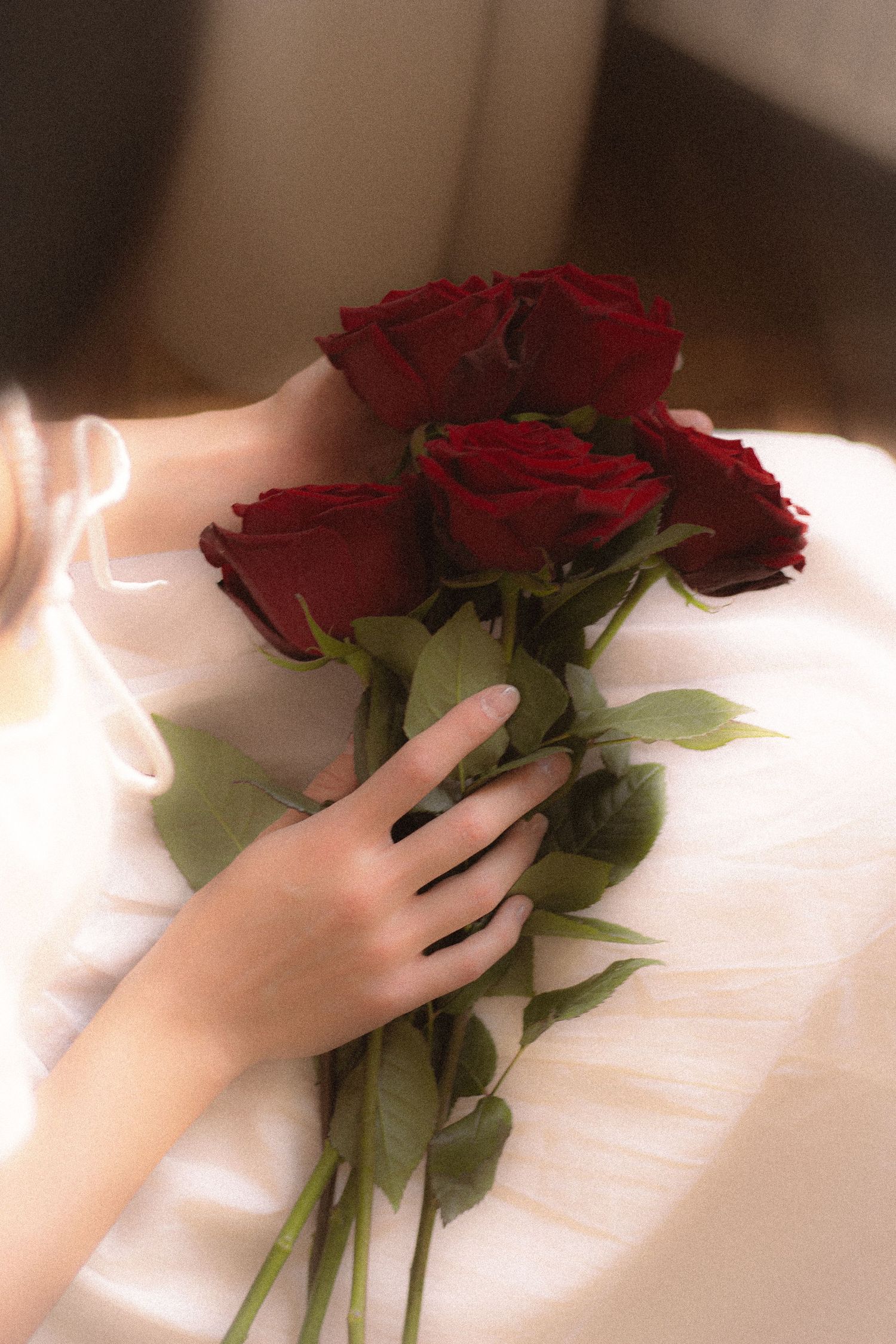 Close-up of hands holding red roses against a white fabric background in soft warm light.