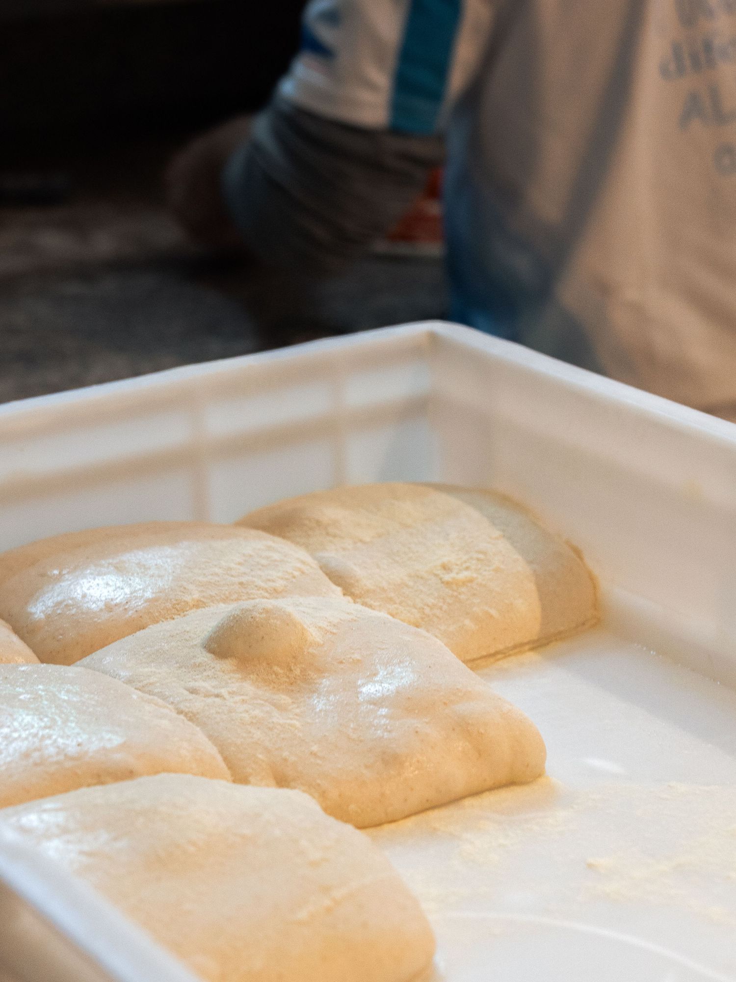 Fresh pizza dough balls proofing in a white plastic tray, ready for Neapolitan pizza preparation.