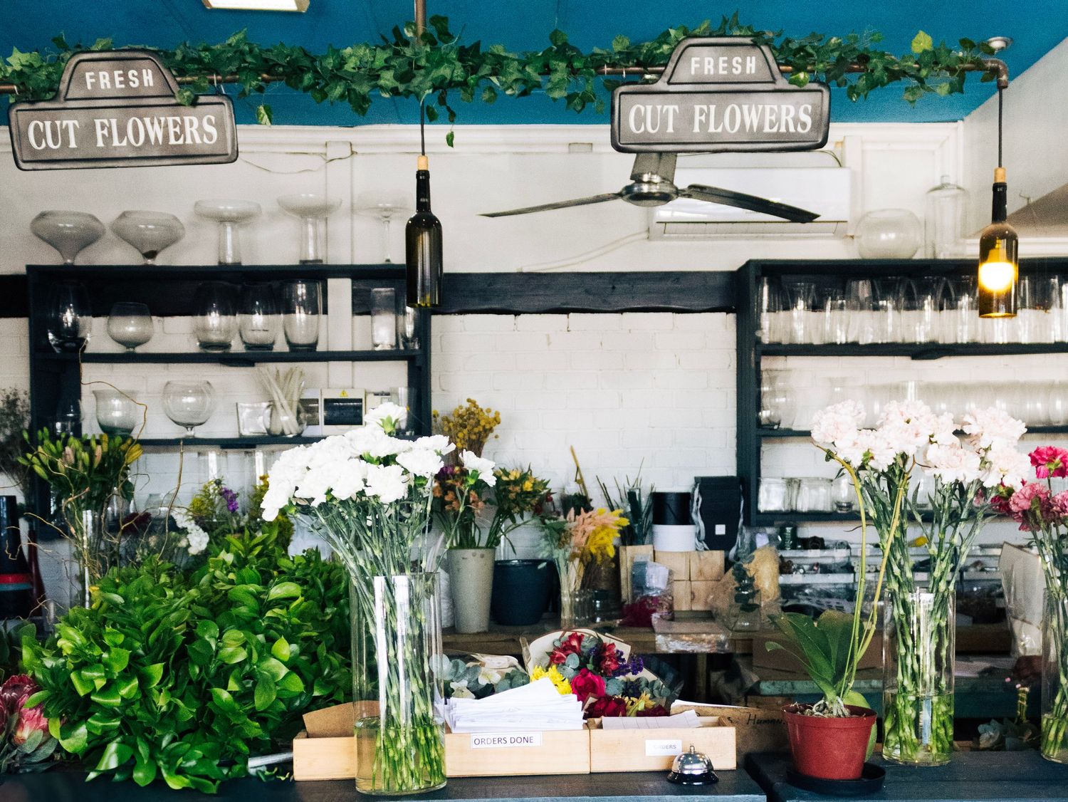 Flower studio photograph