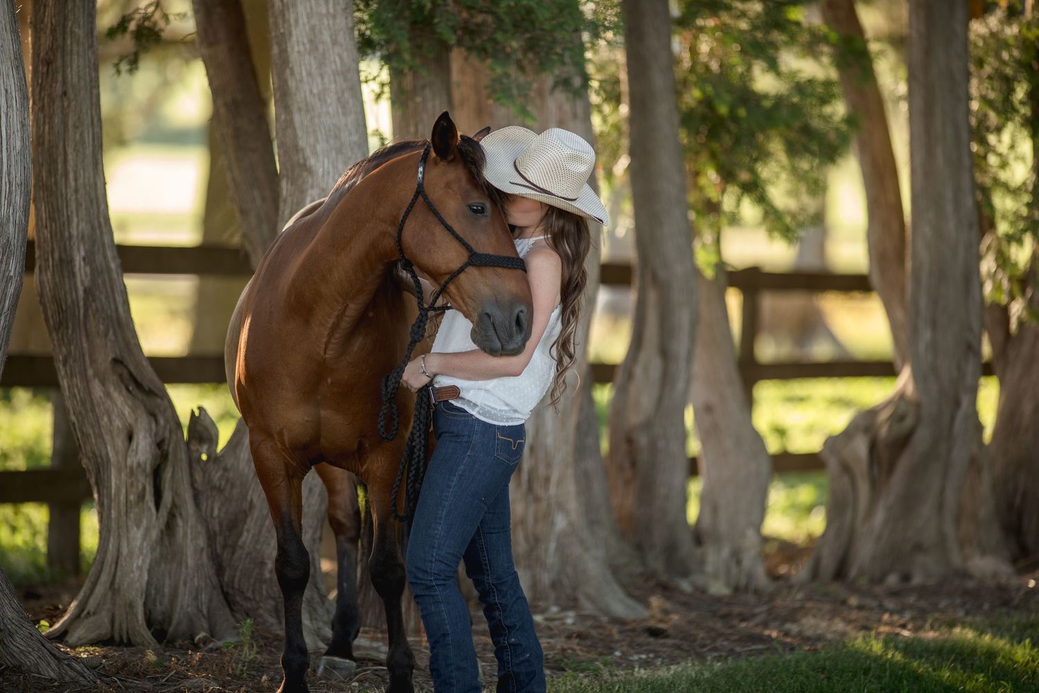 Horses and their handlers interact among tall trees in a shaded grove.