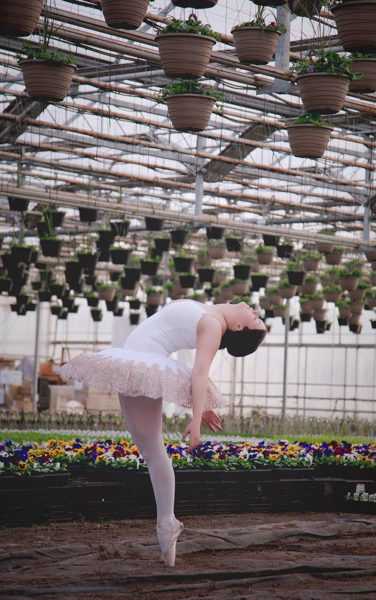 Ballet dancer in white tutu performing in greenhouse filled with hanging plants and flowers.
