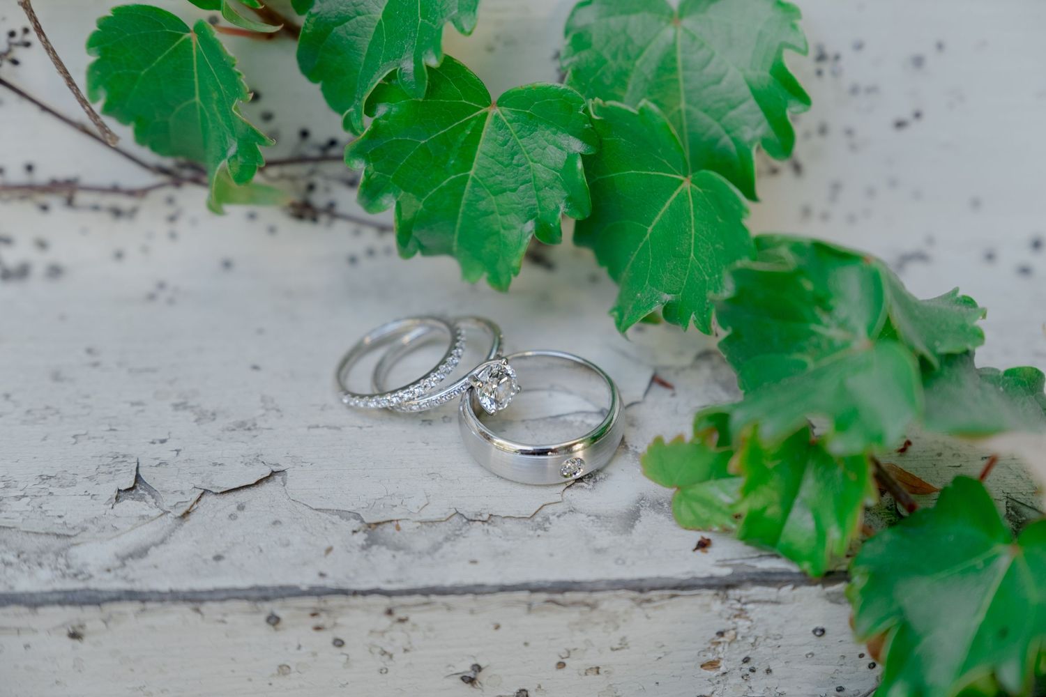 Wedding rings photographed with fresh green ivy leaves on white textured surface.