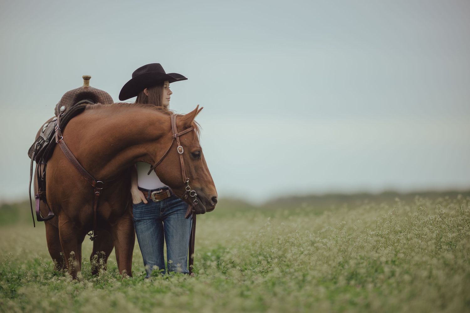 Horses and handlers gather in a misty field during golden hour.