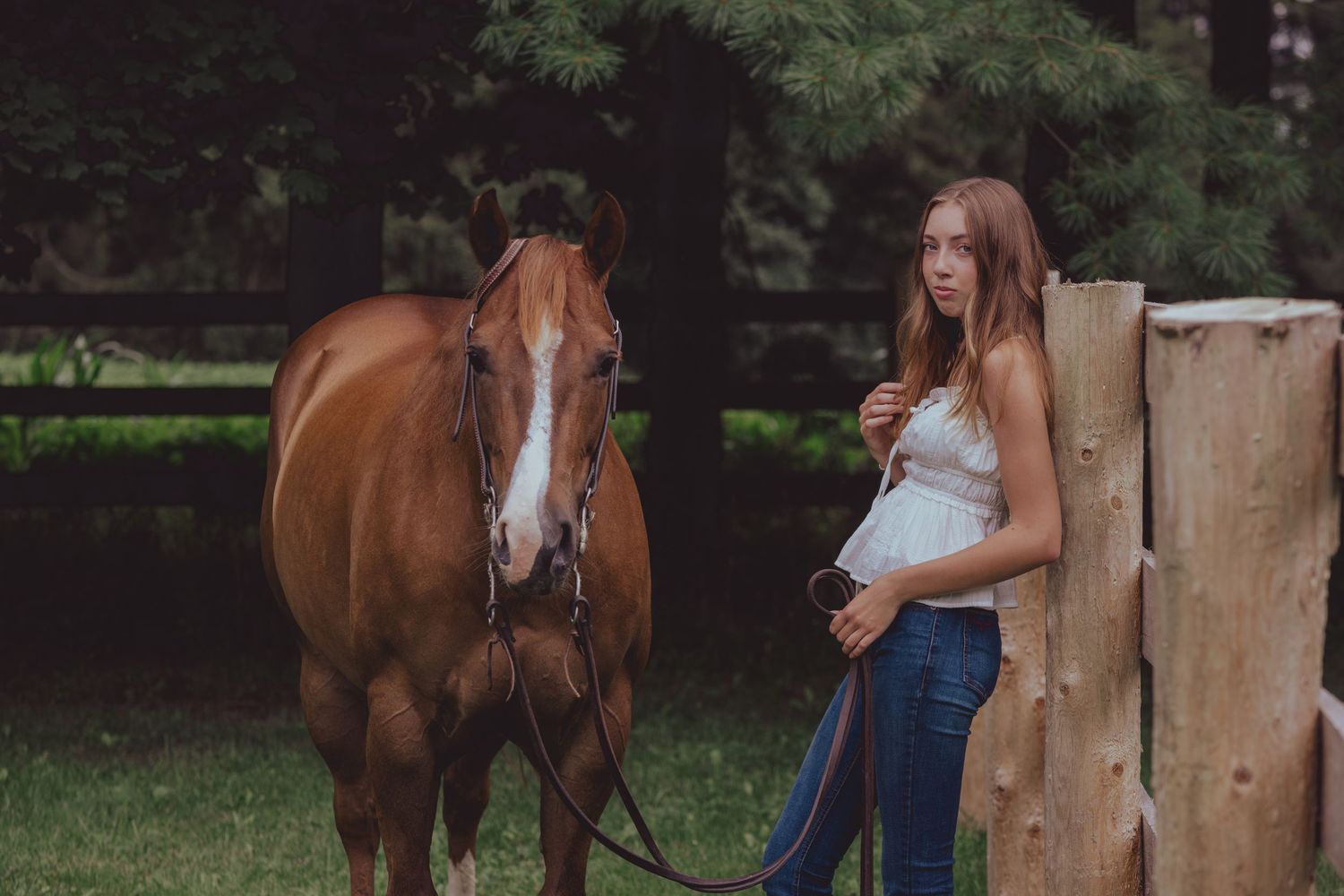 Brown horse and people interacting near wooden fence posts in a grassy field.