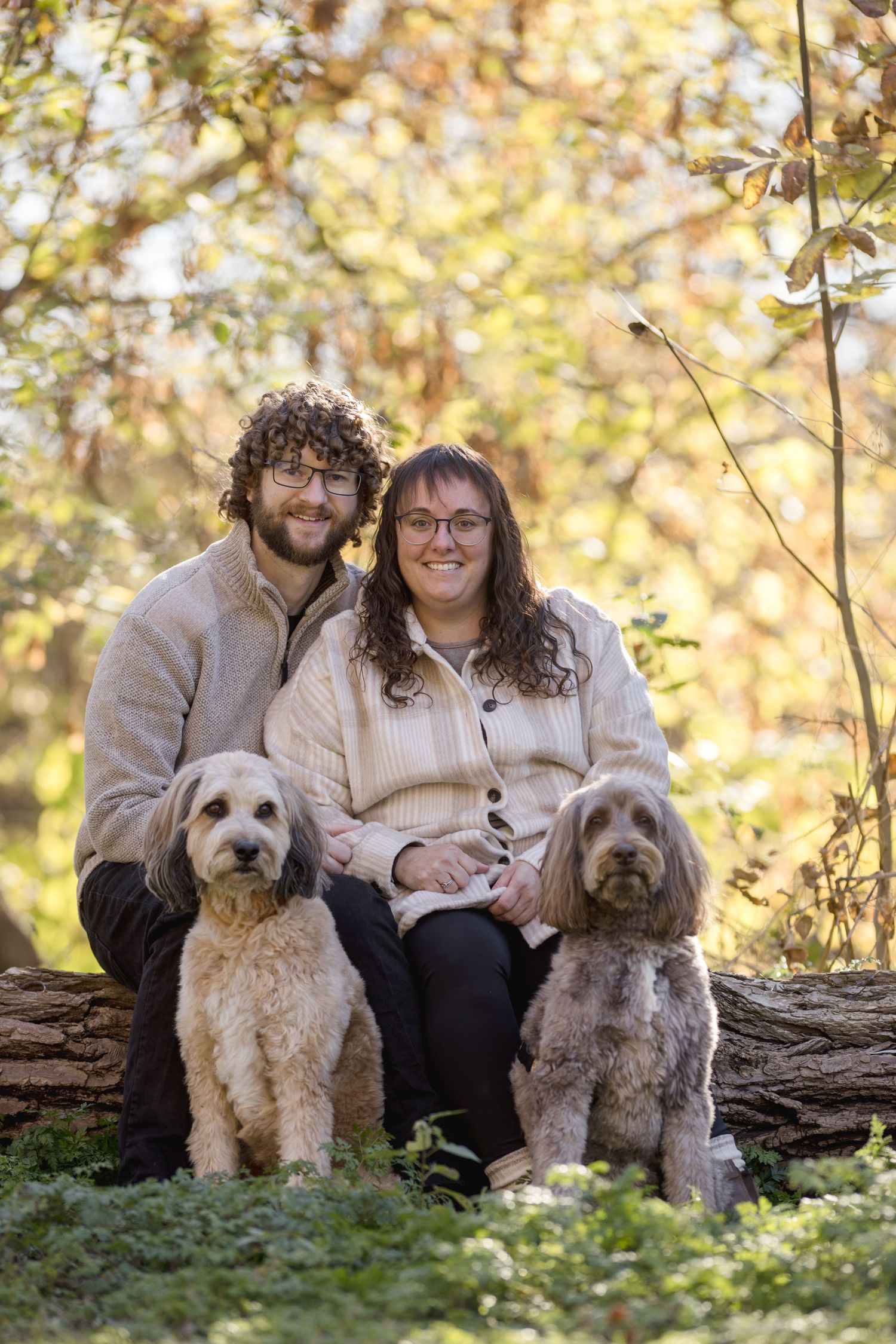 Two fluffy dogs sit with their owners in an autumn woodland setting.