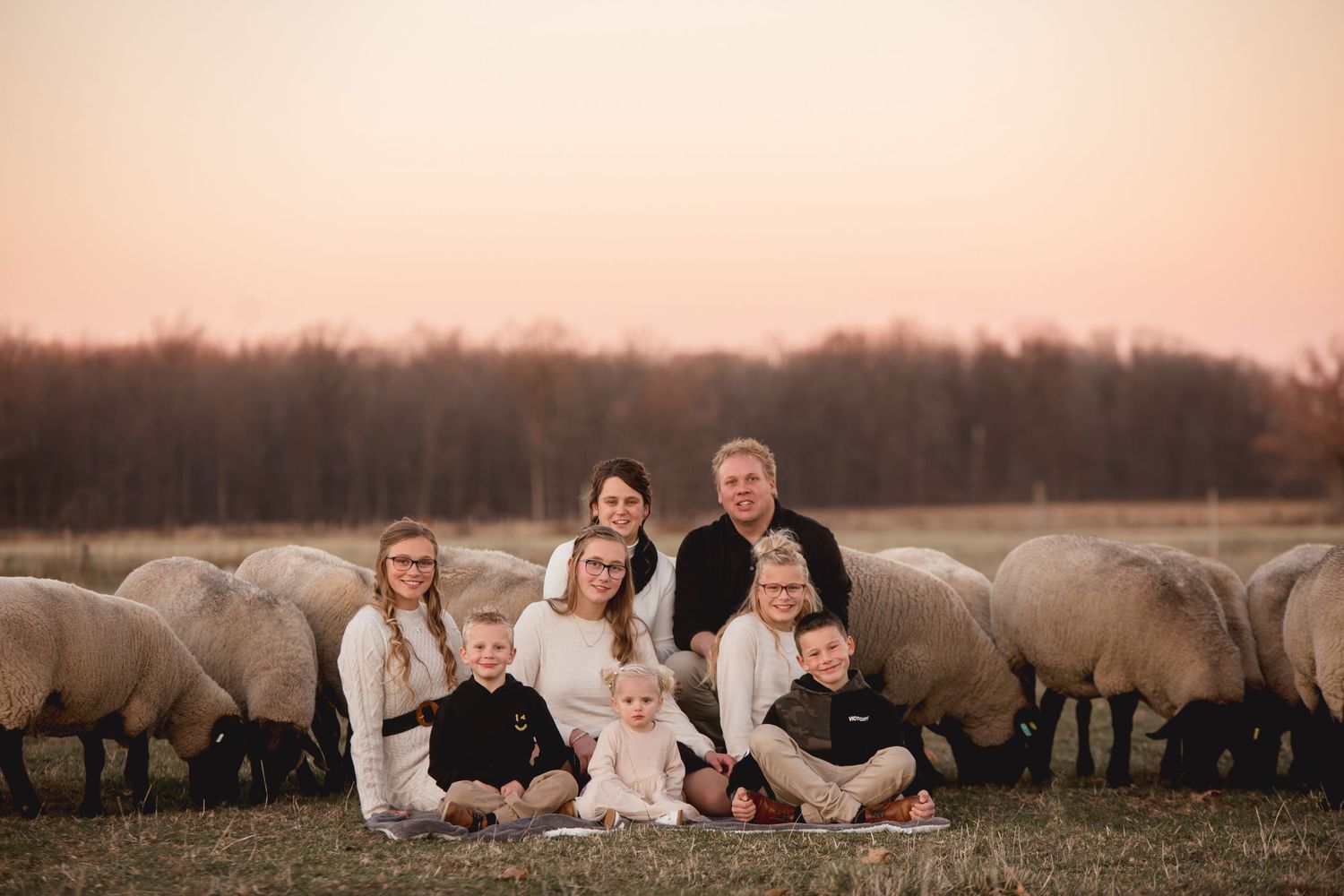 Family photo session with white horses grazing in a field at sunset.