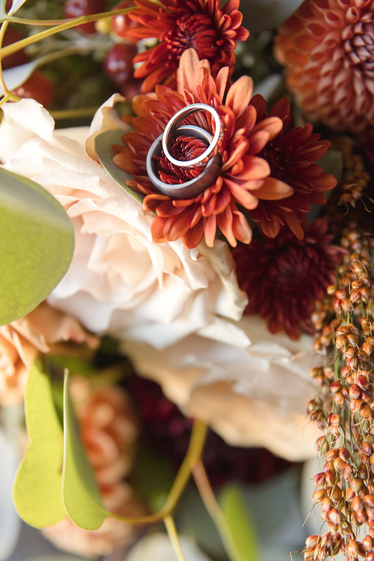 Wedding rings nestled among burgundy and peach dahlias in a floral arrangement.