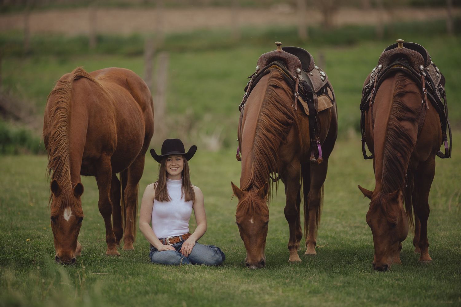 Brown horses stand together in a green field during a photo session.