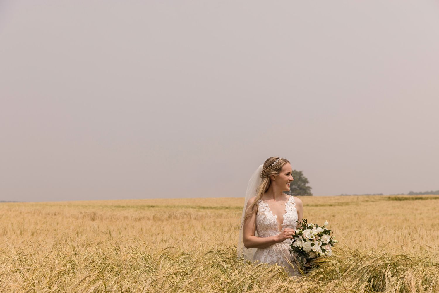 A panoramic series of wedding photos taken in a vast wheat field at sunset.