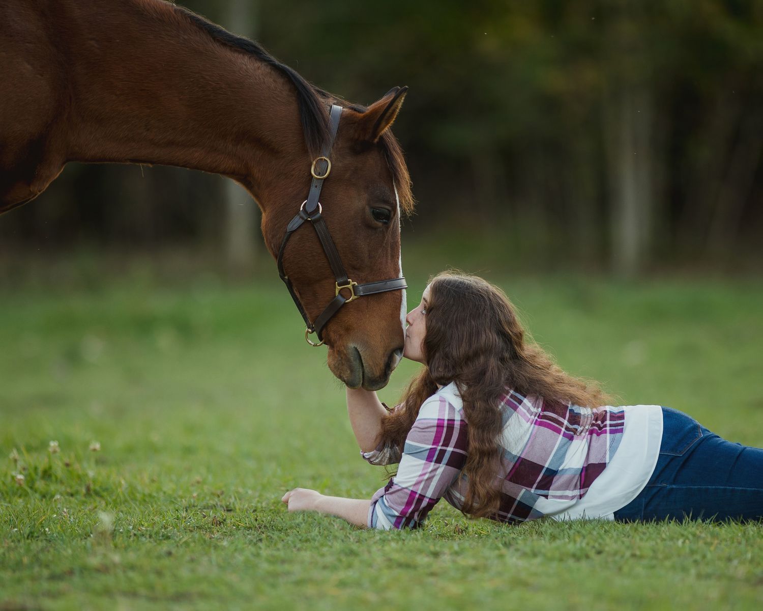 Brown horse gently nuzzling and interacting with someone in plaid shirt on grassy field.