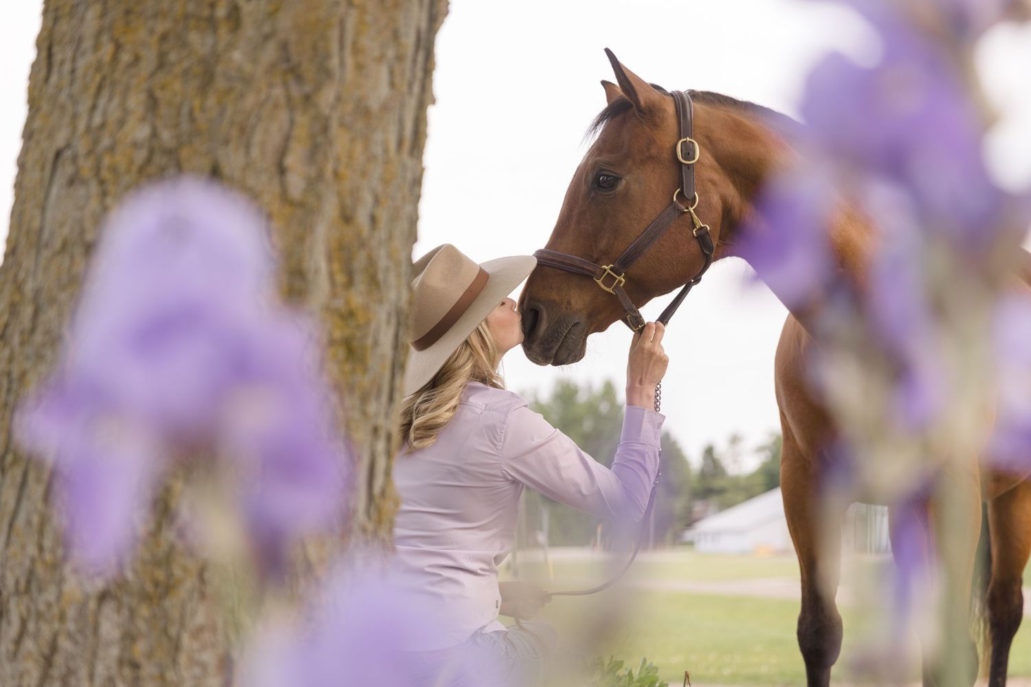 Horse and person photographed through purple flowers in soft focus.