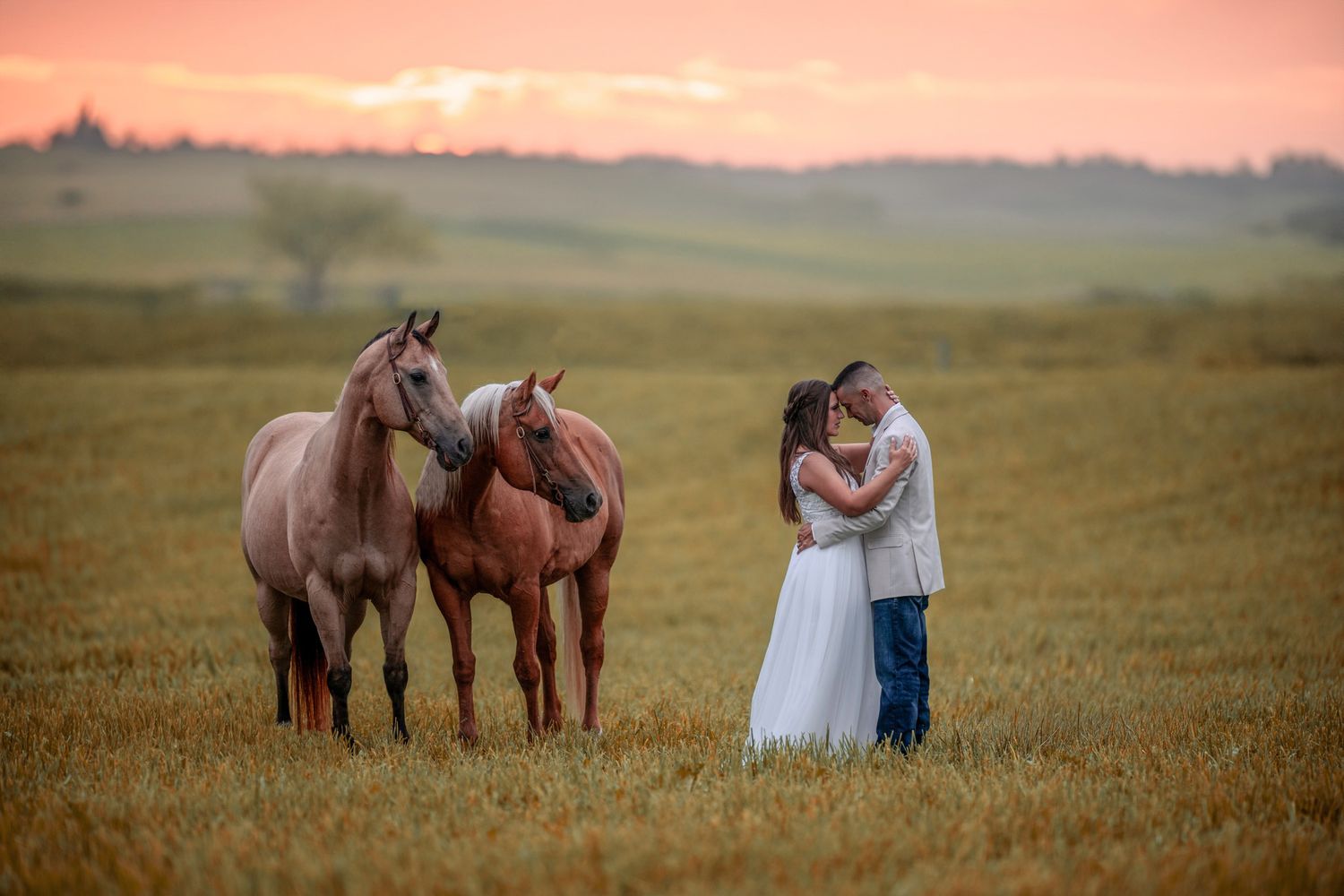 Romantic sunset photos with horses in an open field showing tender moments between a couple.