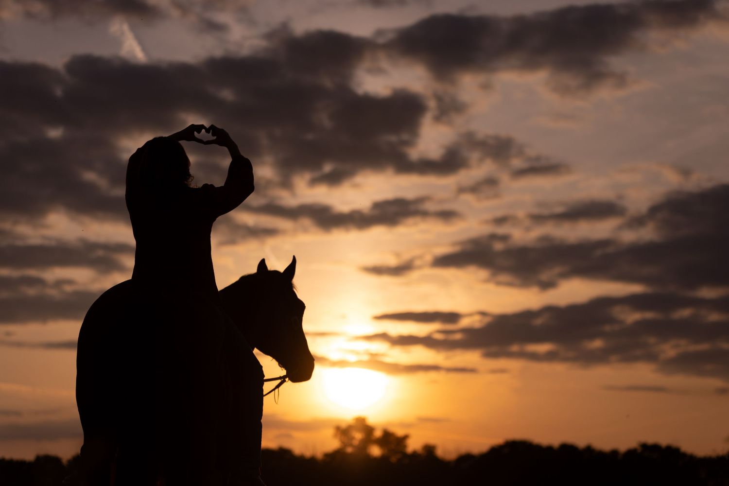 Silhouette of a horse and person against a dramatic sunset sky with clouds.
