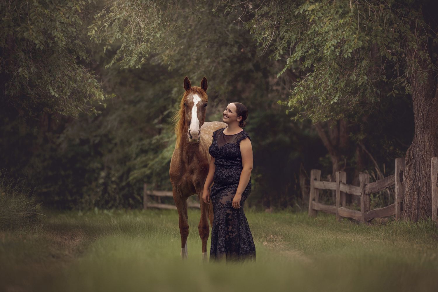 Artistic outdoor photoshoot sequence featuring a horse and figure in a wooded setting.