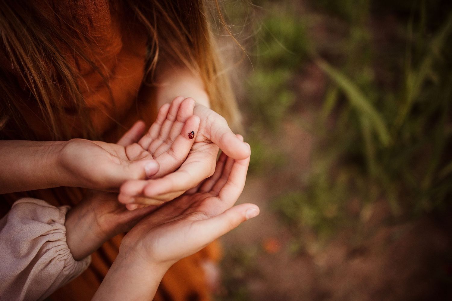 Close-up shots of hands touching in warm natural light.