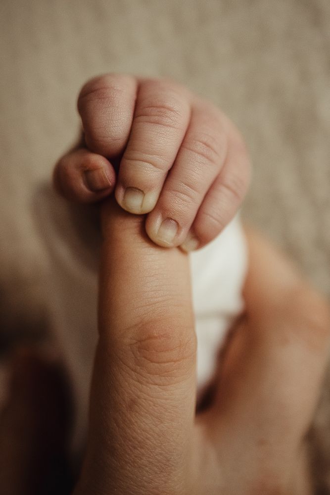 Close-up photo of a tiny baby hand grasping an adult finger in soft, natural lighting.