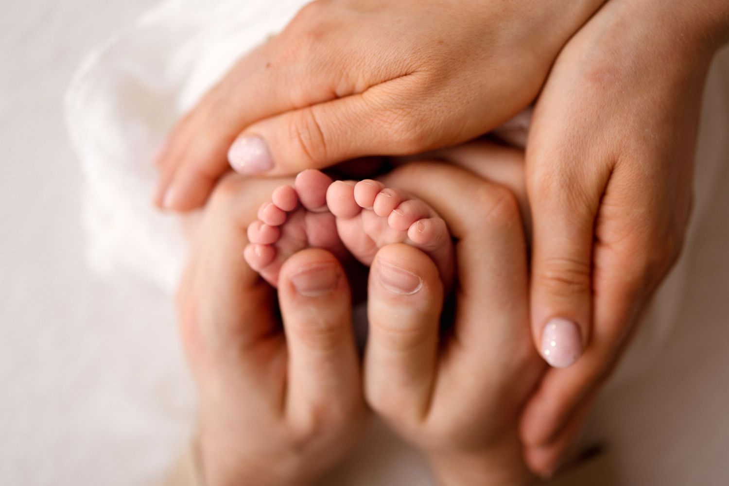 Close up of adult hands gently holding tiny baby feet against white background.