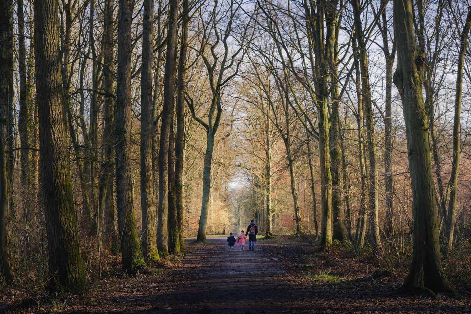 Silhouettes d'une famille sur un sentier forestier symétrique marchant vers la lumière. Photo outdoor et tourisme de proximité.