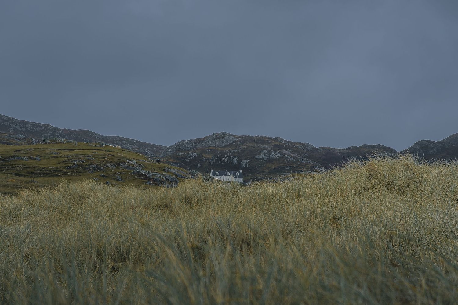 Maison blanche isolée à Scourie derrière des hautes herbes. Photographe tourisme et activité plein air en Écosse, Highlands.