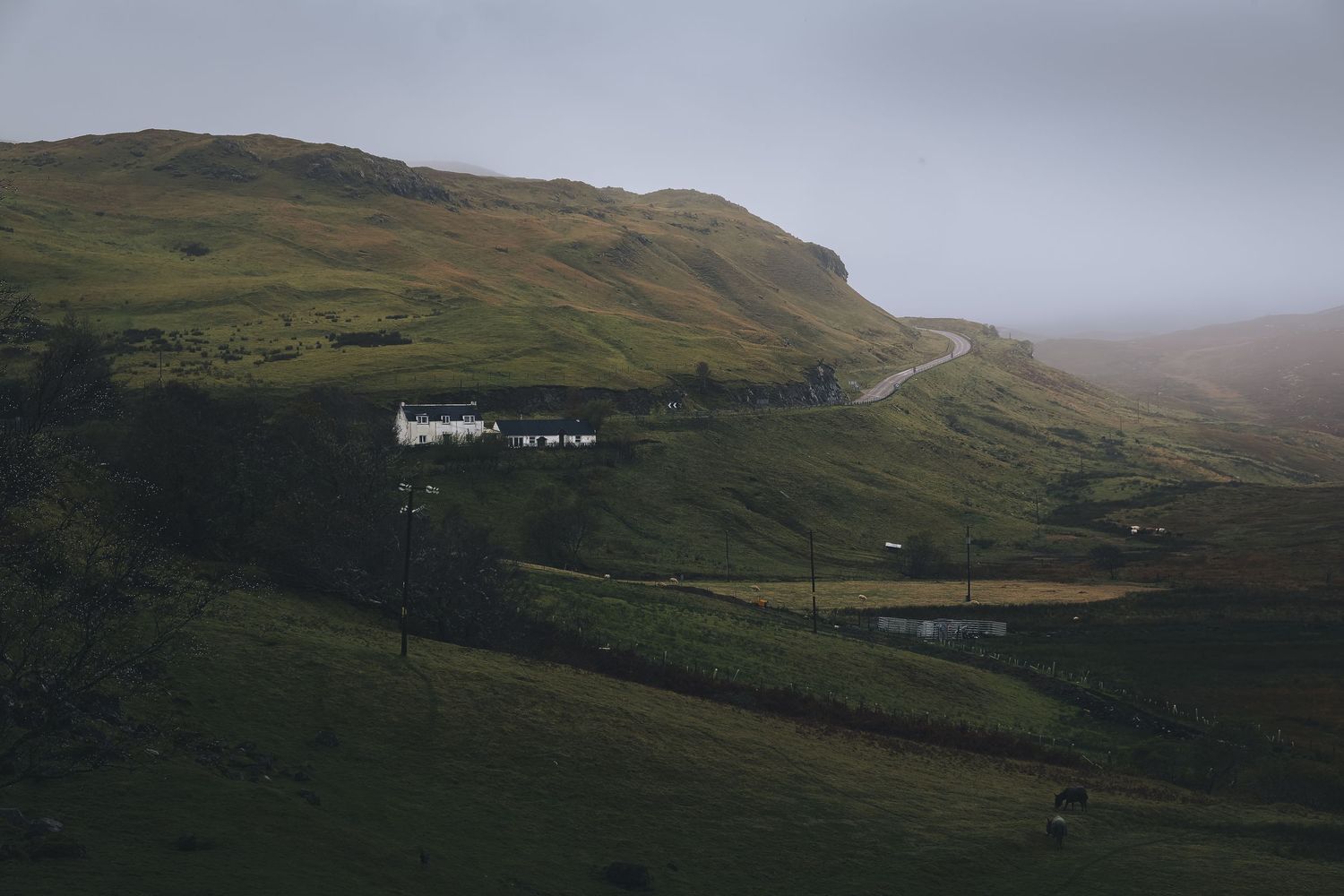 Gîte de charme traditionnel niché au flanc d’une colline brumeuse des Highlands, hébergement authentique pour un séjour nature en Écosse.