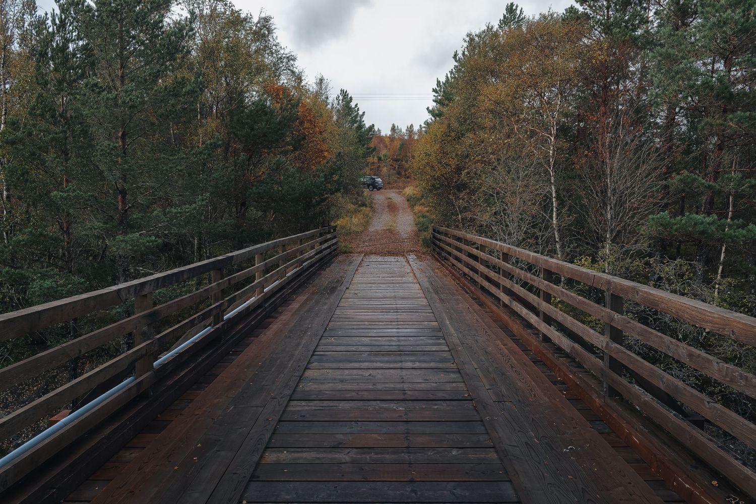 Pont en bois traversant une forêt d'automne en Écosse. Sentier de randonnée outdoor pour tourisme de nature et activités de plein air.