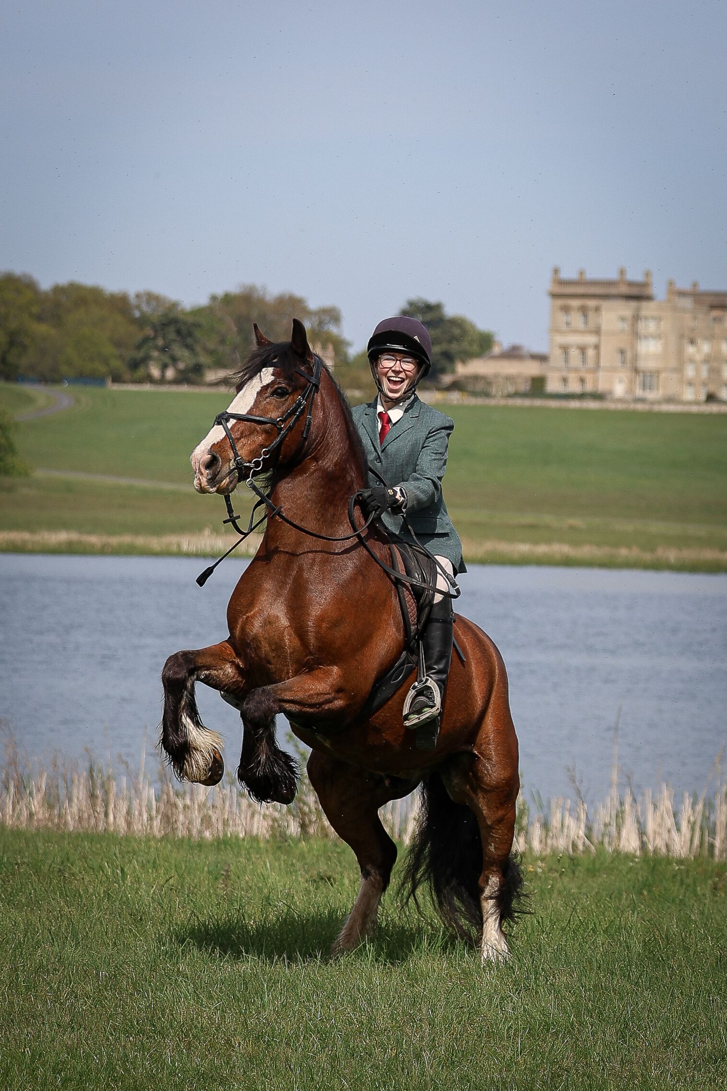 Horse portrait photographed outdoors in Lincolnshire by equine photographer Sadie York Photography.