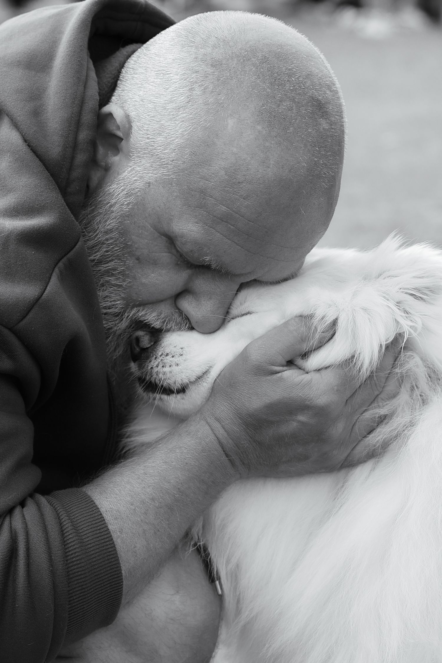 Dog photographed by Lincolnshire Pet Photographer Sadie York Photography. Dog Photography.