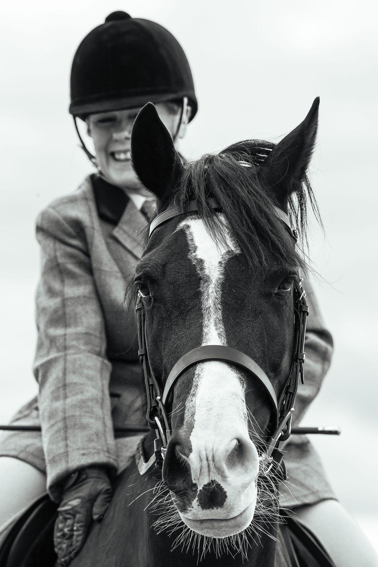 Horse portrait photographed outdoors in Lincolnshire by equine photographer Sadie York Photography.