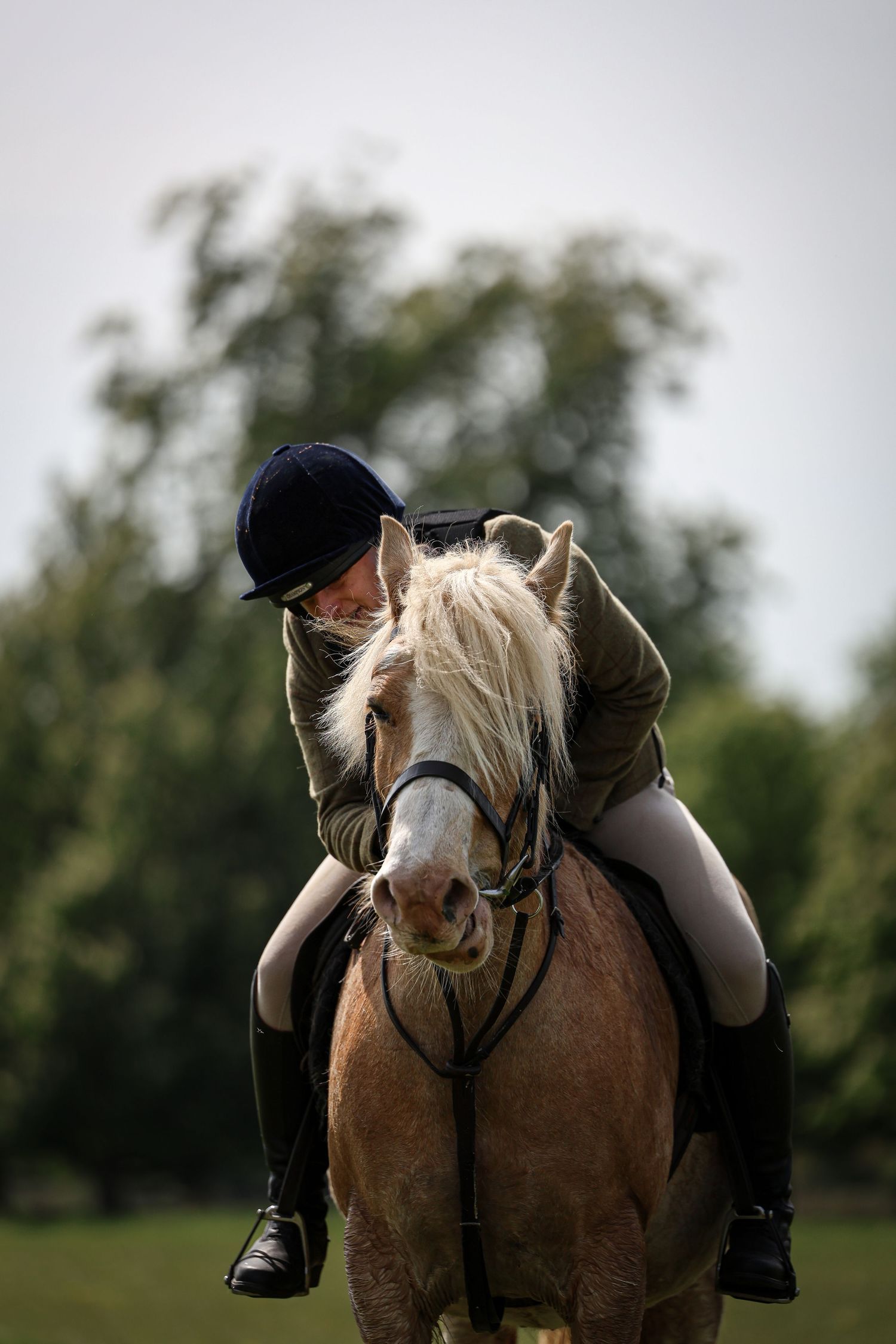 Horse portrait photographed outdoors in Lincolnshire by equine photographer Sadie York Photography.