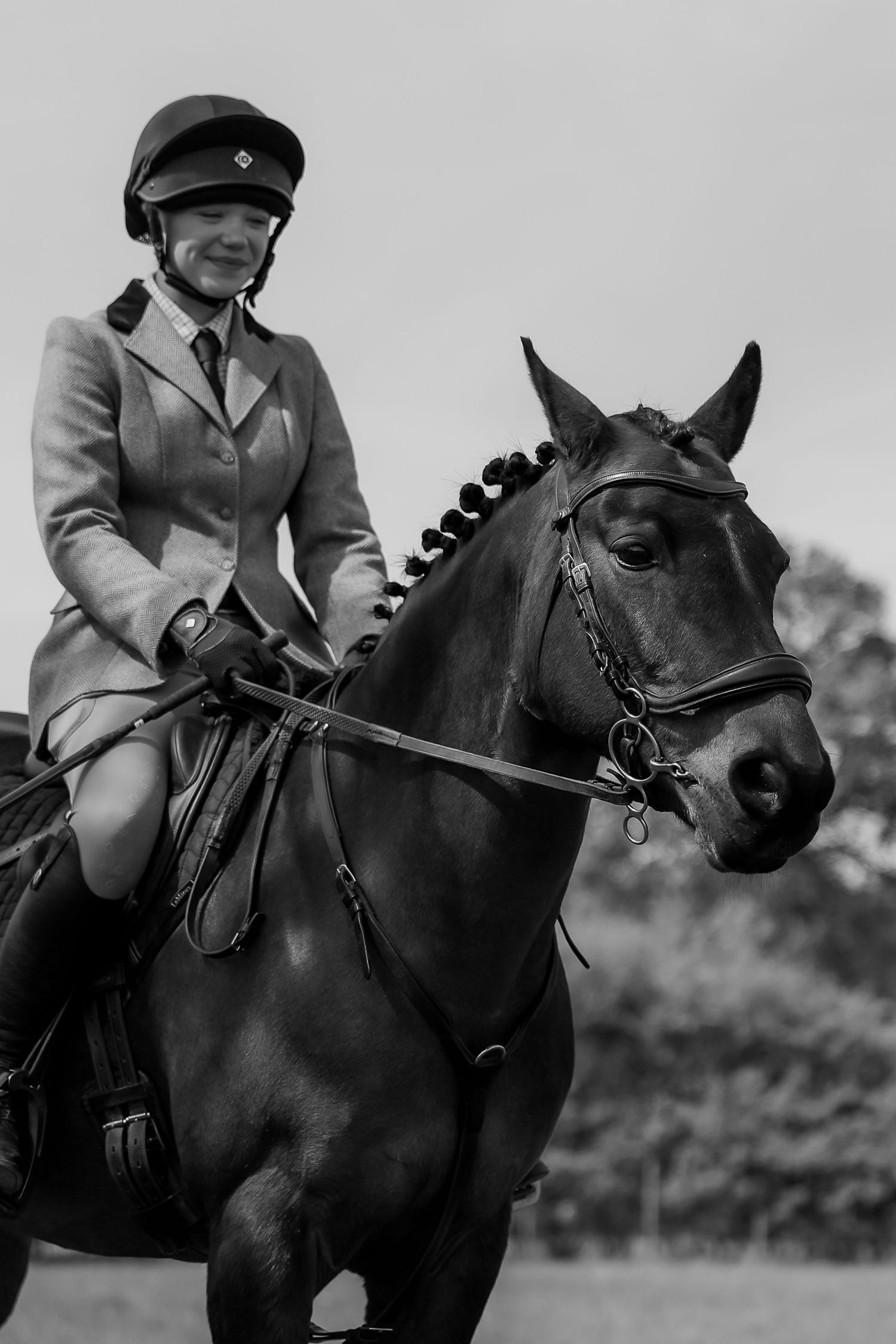 Horse portrait photographed outdoors in Lincolnshire by equine photographer Sadie York Photography.