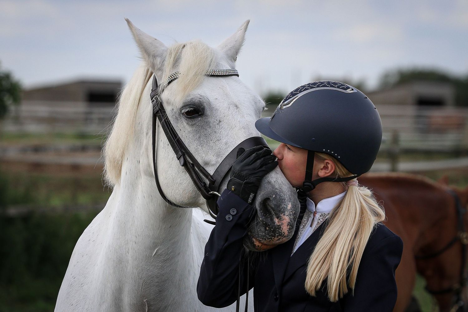 Horse portrait photographed outdoors in Lincolnshire by equine photographer Sadie York Photography.
