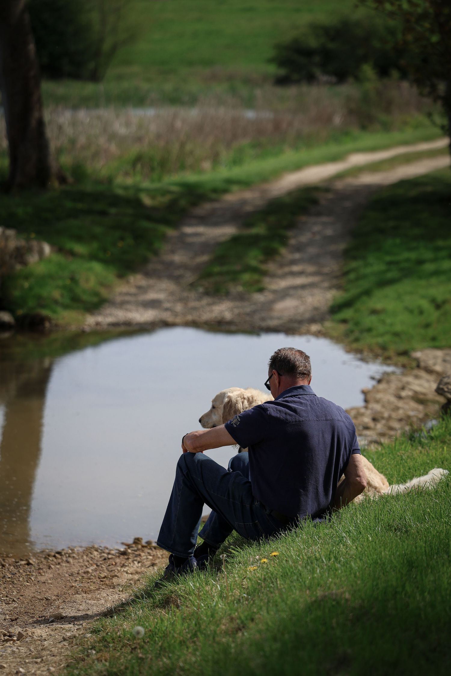 Dog photographed by Lincolnshire Pet Photographer Sadie York Photography. Dog Photography.