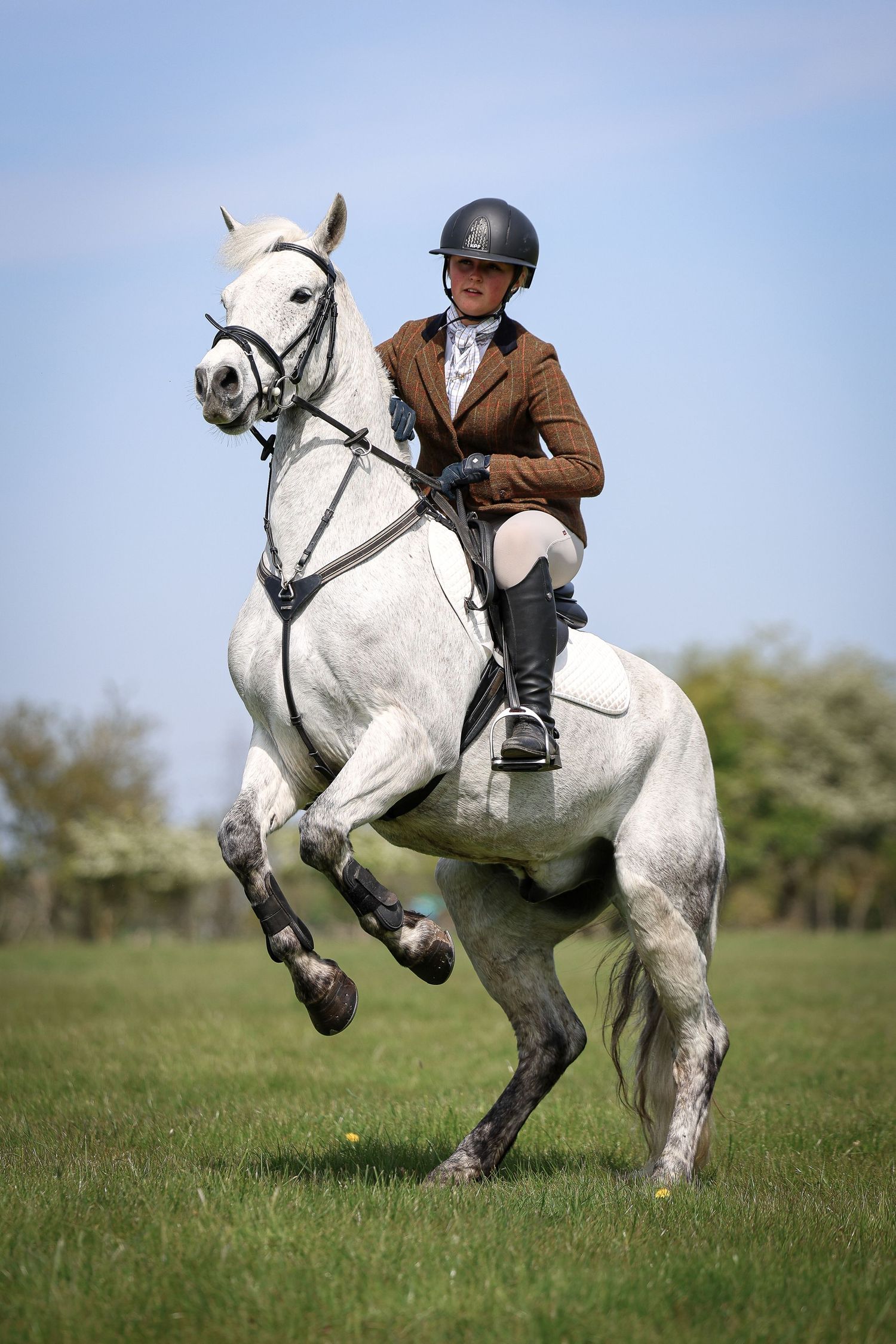 Horse portrait photographed outdoors in Lincolnshire by equine photographer Sadie York Photography.