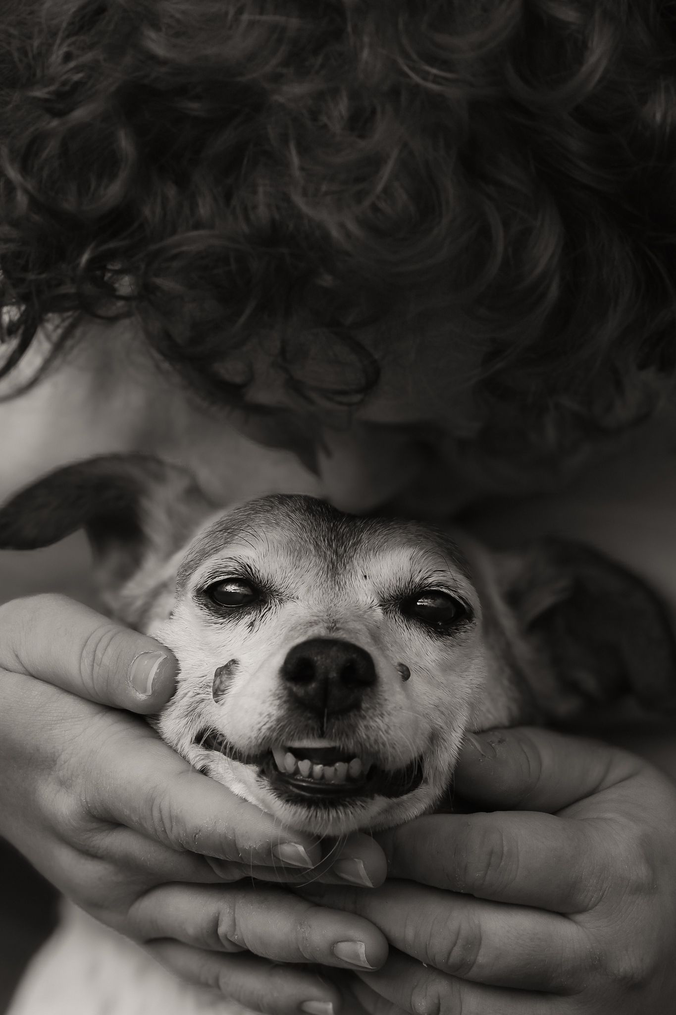 Dog photographed by Lincolnshire Pet Photographer Sadie York Photography. Dog Photography.
