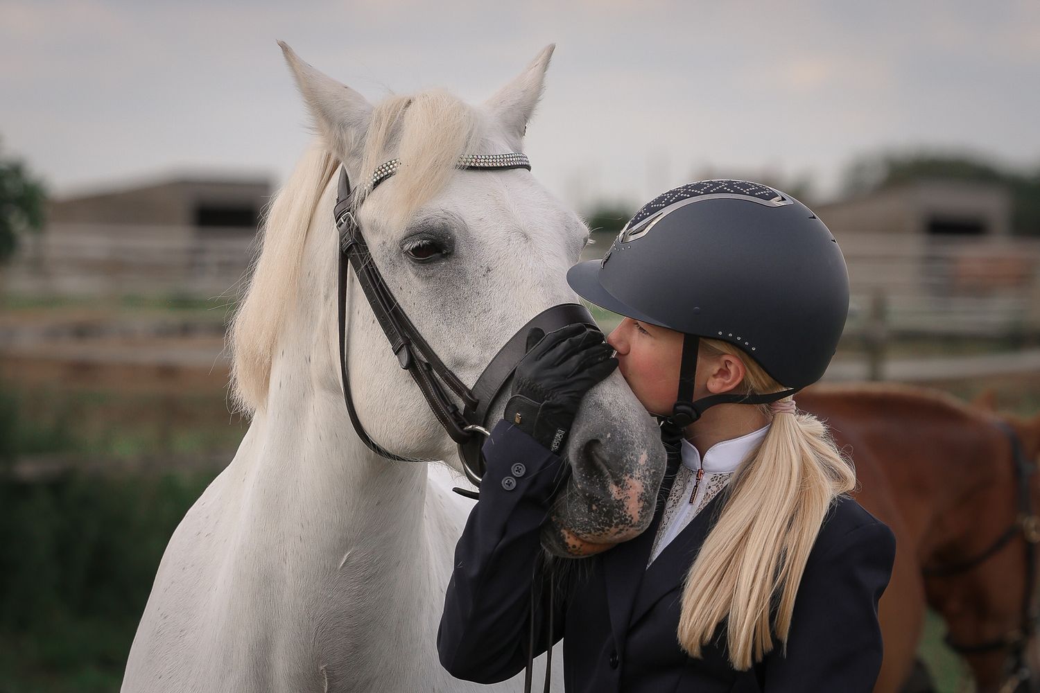 Horse portrait photographed outdoors in Lincolnshire by equine photographer Sadie York Photography.