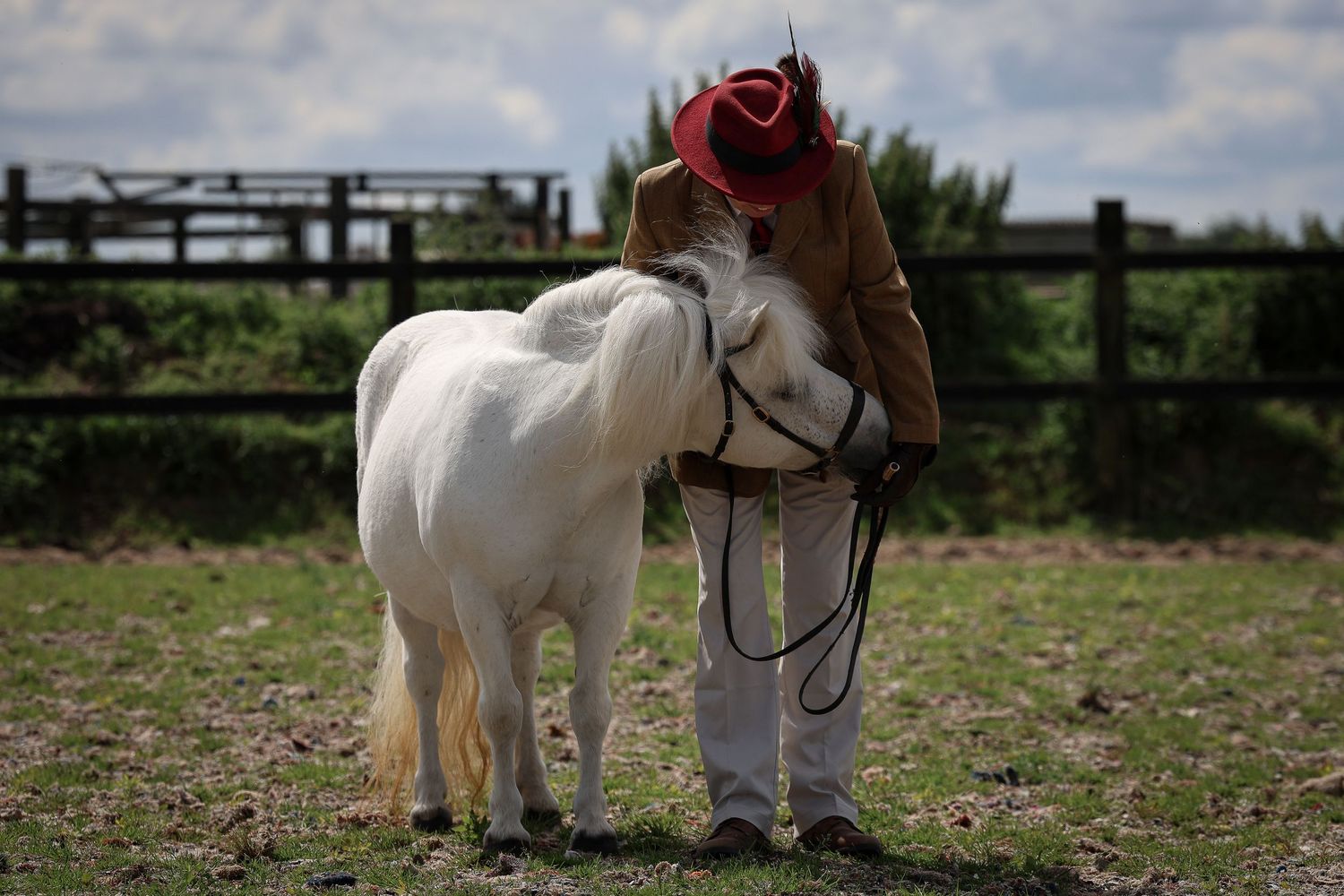 Horse portrait photographed outdoors in Lincolnshire by equine photographer Sadie York Photography.