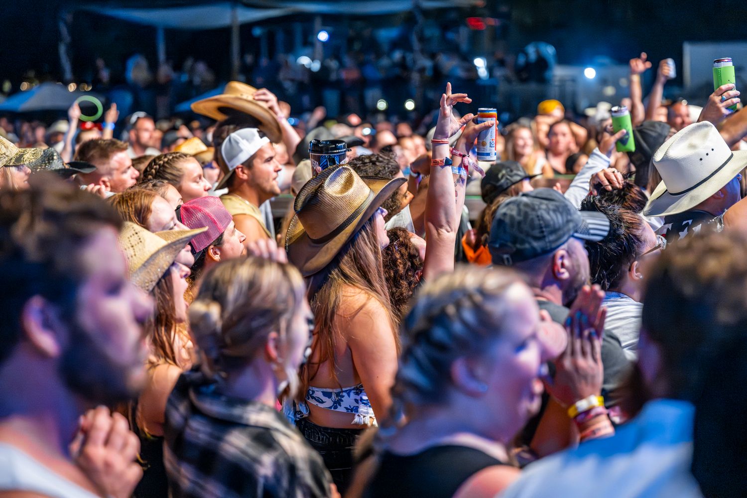 Energetic crowd with raised hands enjoying an outdoor music festival during daytime.
