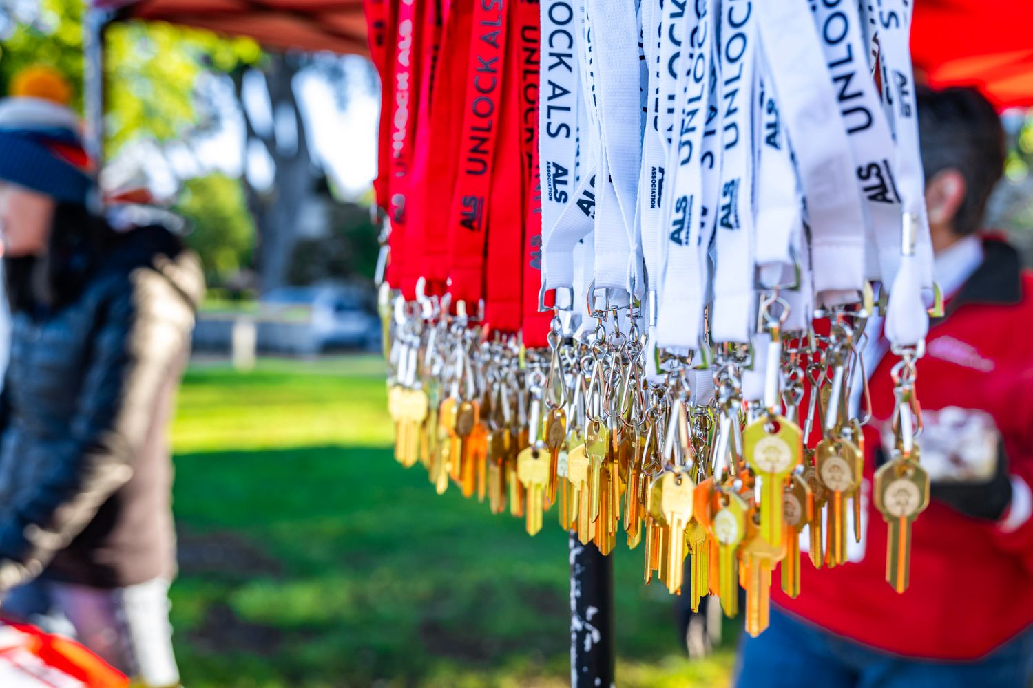 Colorful race medals and ribbons hanging in rows at outdoor event.
