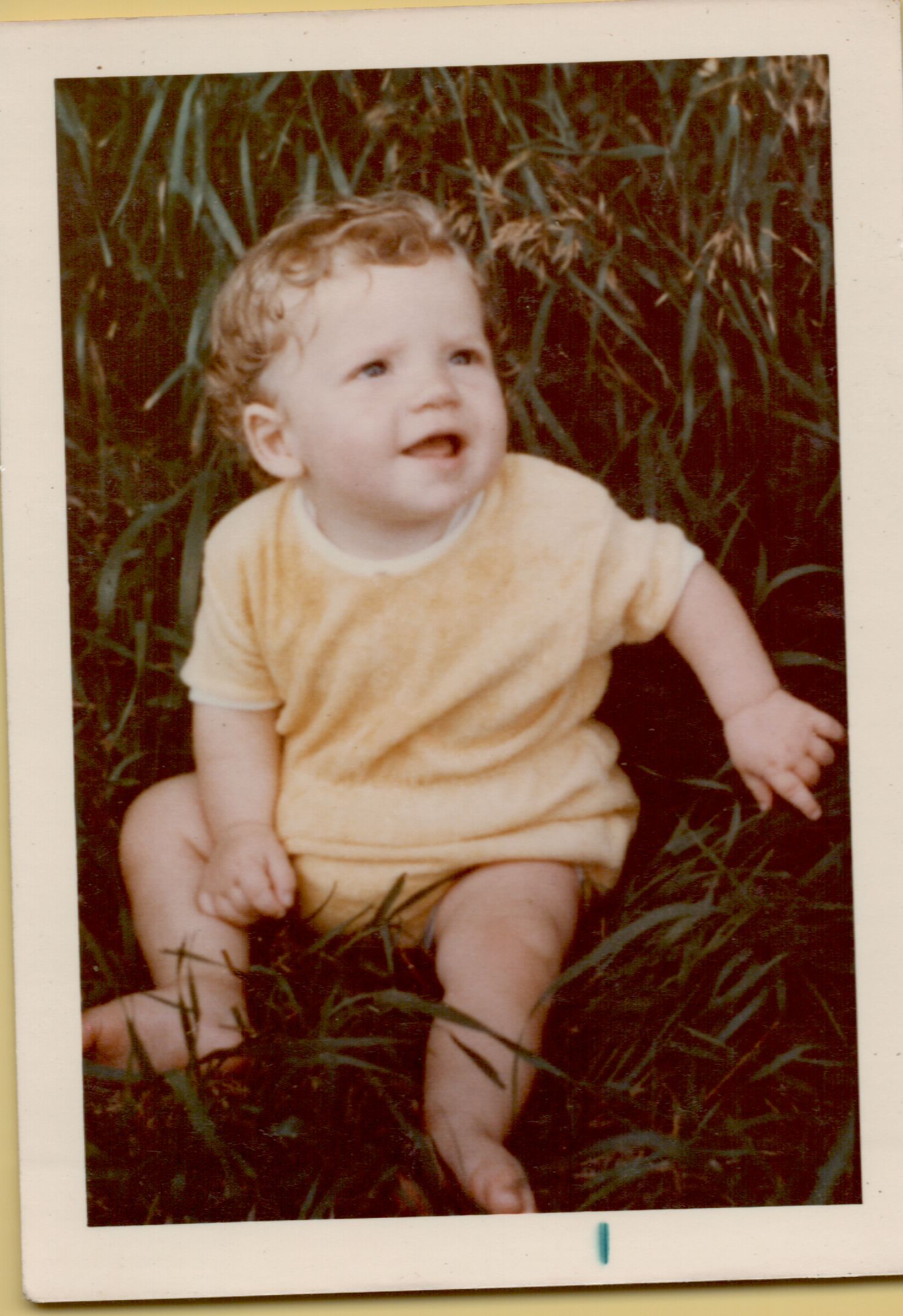 A smiling toddler in a yellow outfit sits in tall green grass, vintage photo from the 1970s.