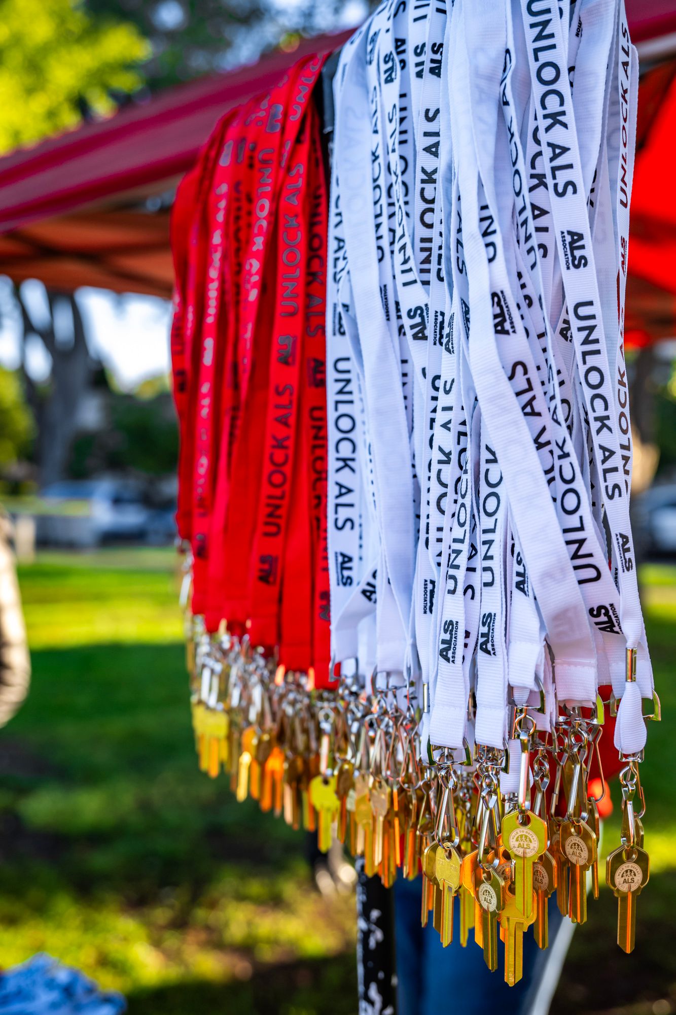 Red and white lanyards with gold clasps hanging in sunlight.