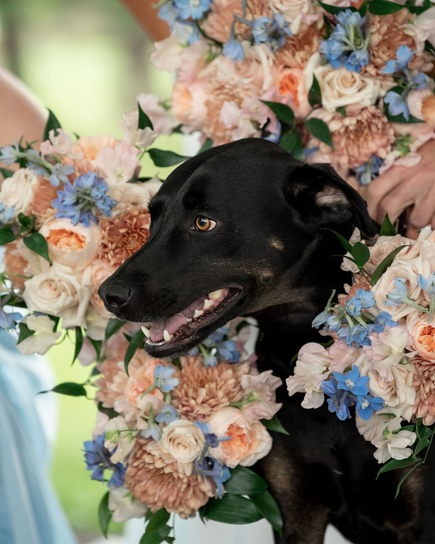 Christian Royer House wedding photography in Westminster, Maryland