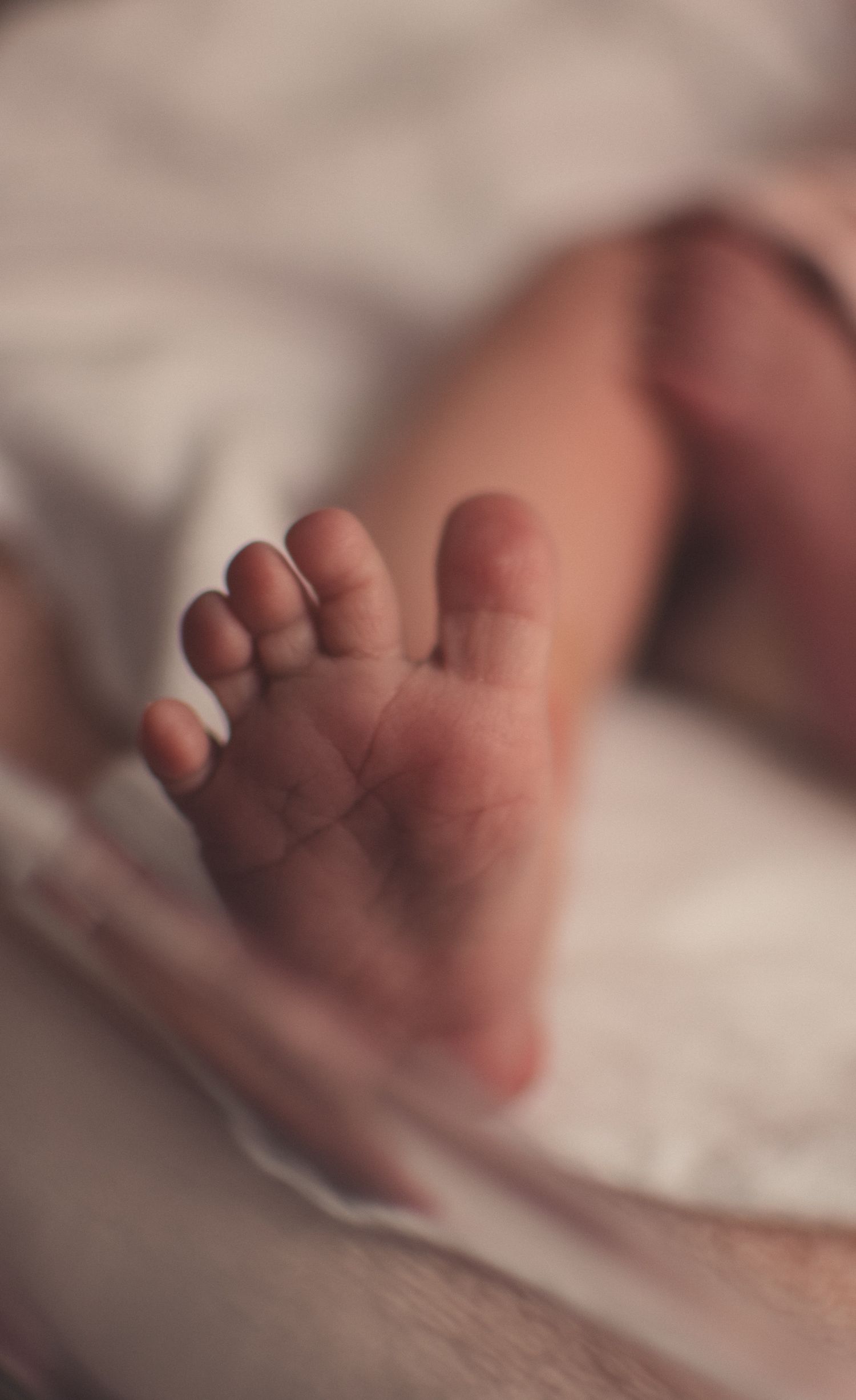 Extreme close-up macro shot of newborn baby's tiny foot sole with soft focus background.