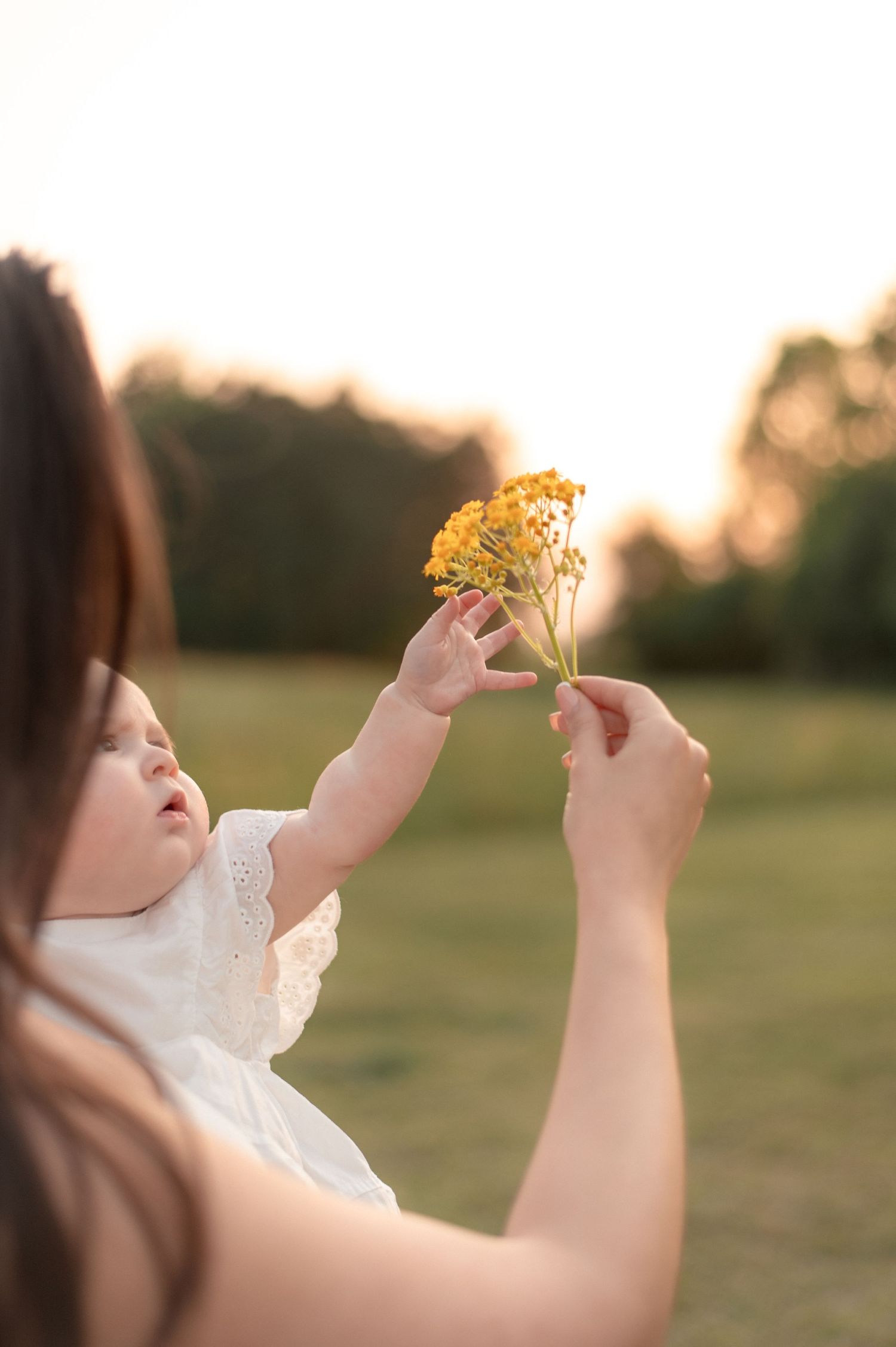 A mother holds her baby in a sunny field, both reaching for a small bouquet of yellow wildflowers at golden hour.
