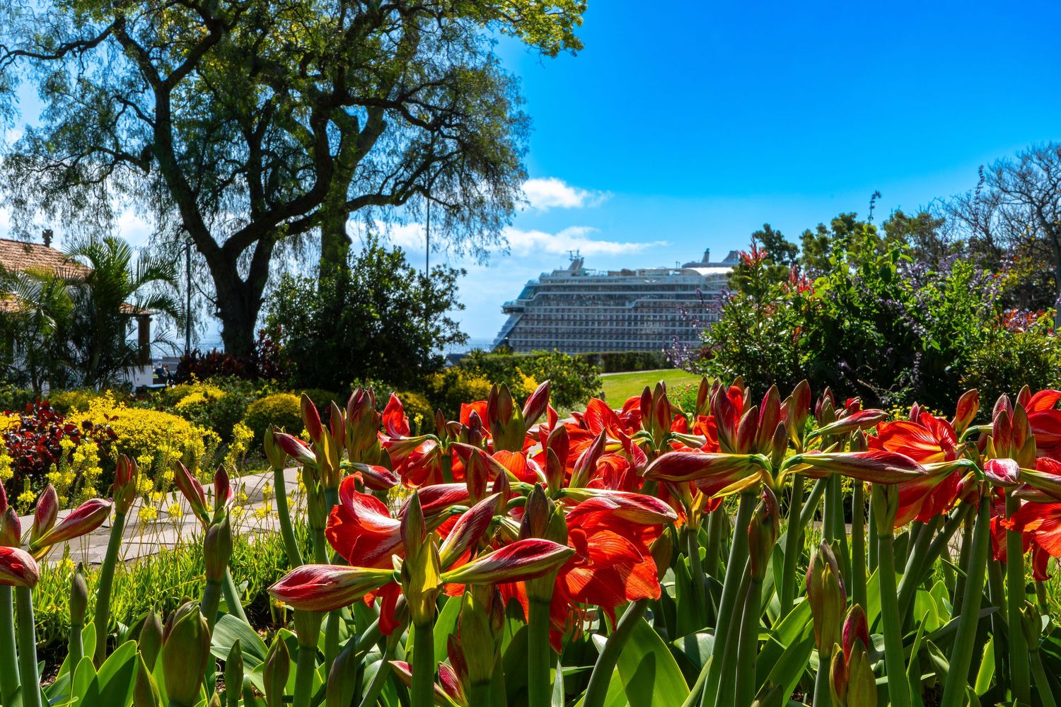 Fotografie auf Madeira – Aufnahme von pixelblickmedia