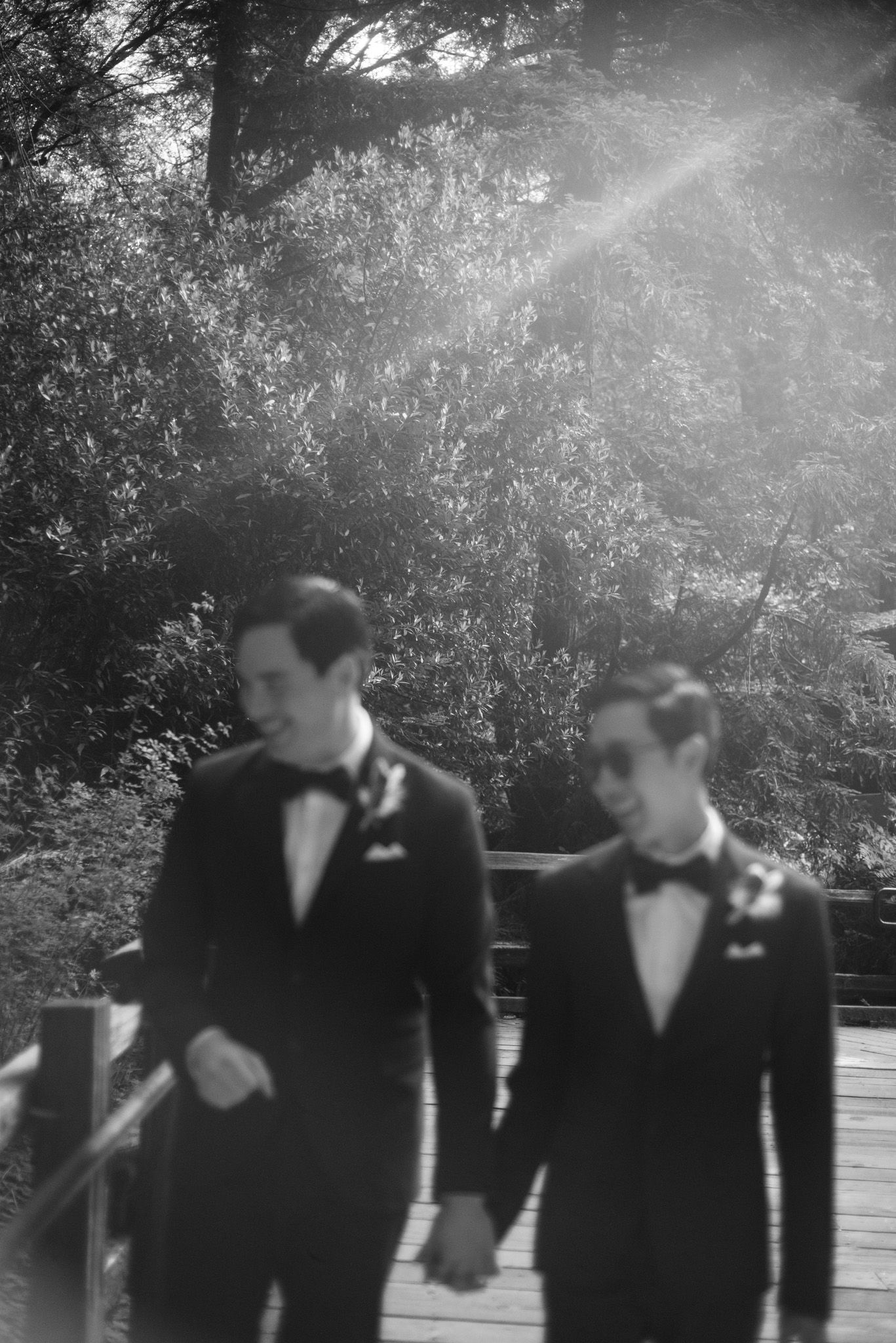 Black and white photo of two grooms in tuxedos holding hands on a sunlit wooden bridge surrounded by trees.