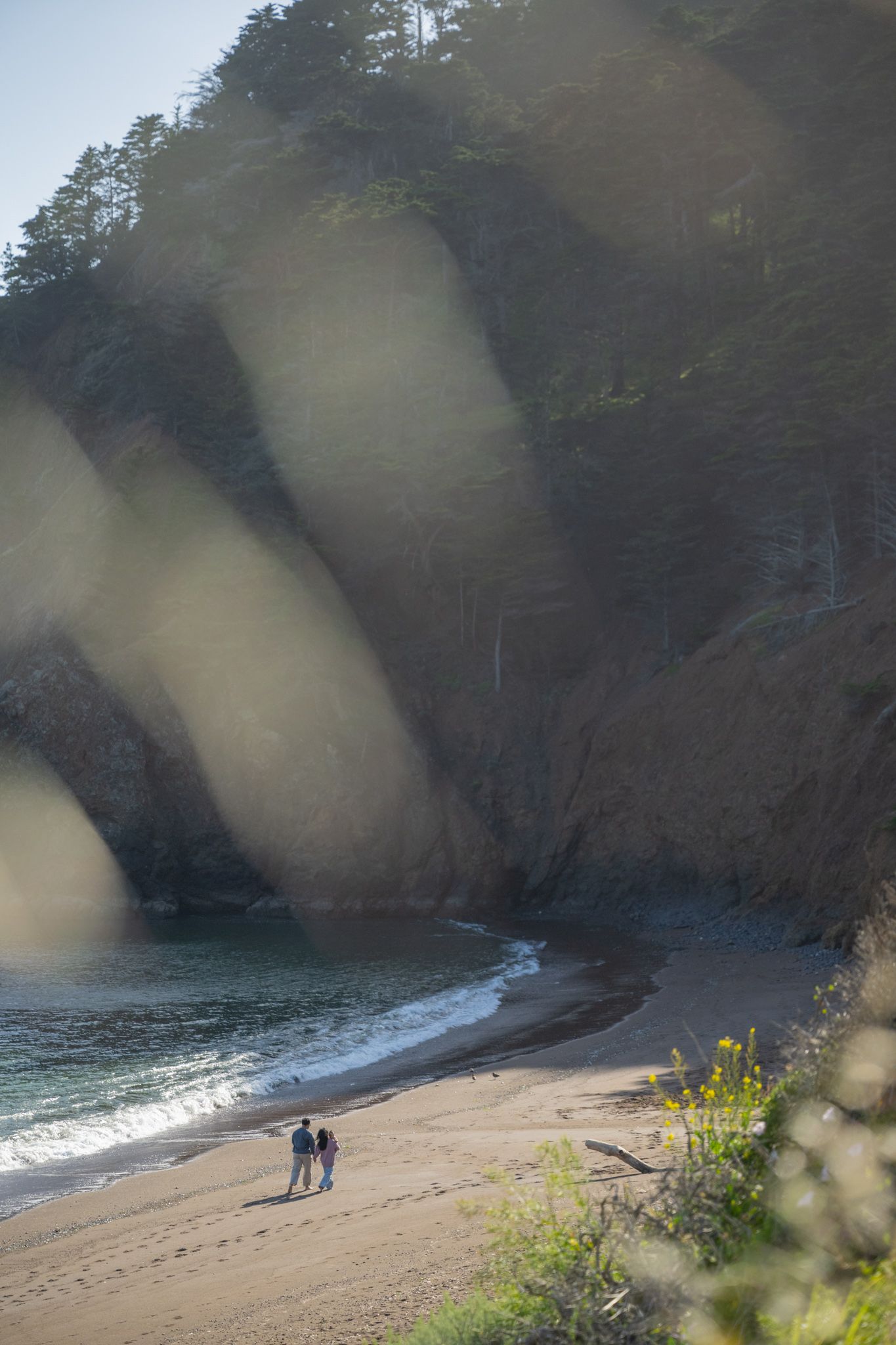 Two people walk along a secluded sandy beach surrounded by dramatic cliffs and tall pine trees in golden sunlight.