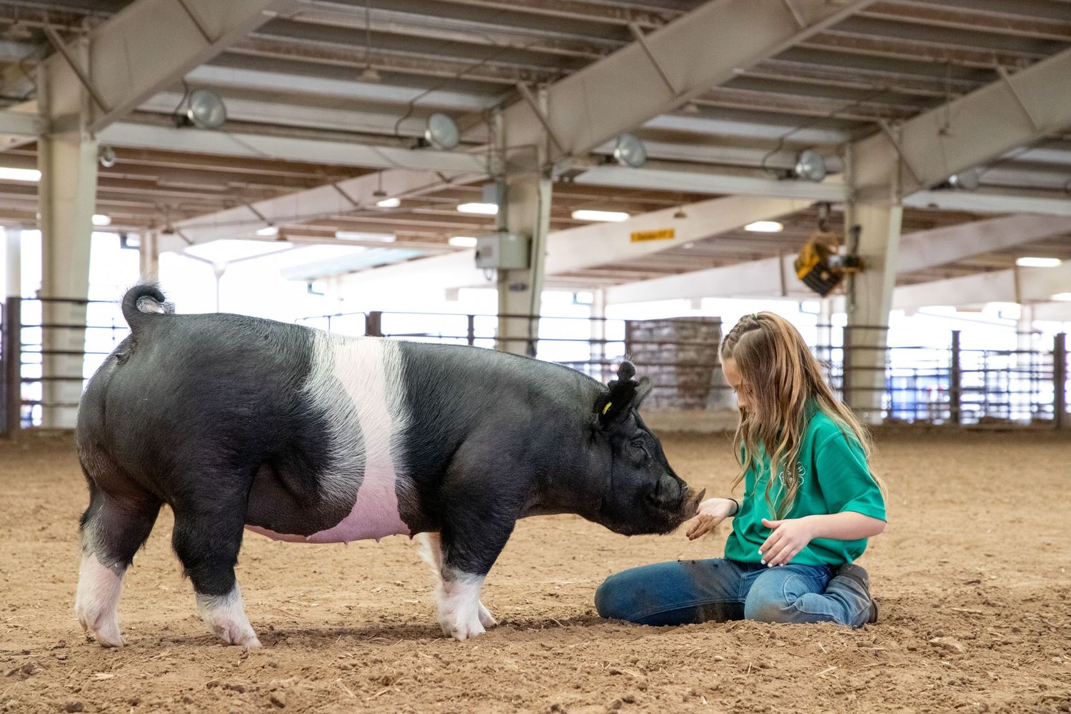 Oklahoma Youth Expo Mini Session