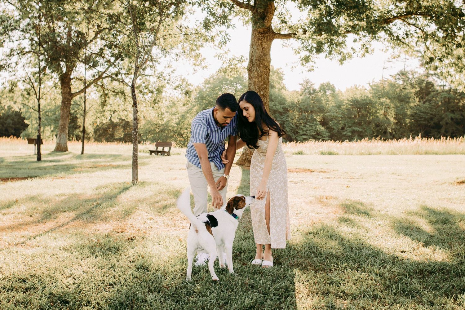 Outdoor engagement couple portrait in Manassas battlefield at golden hour with puppy