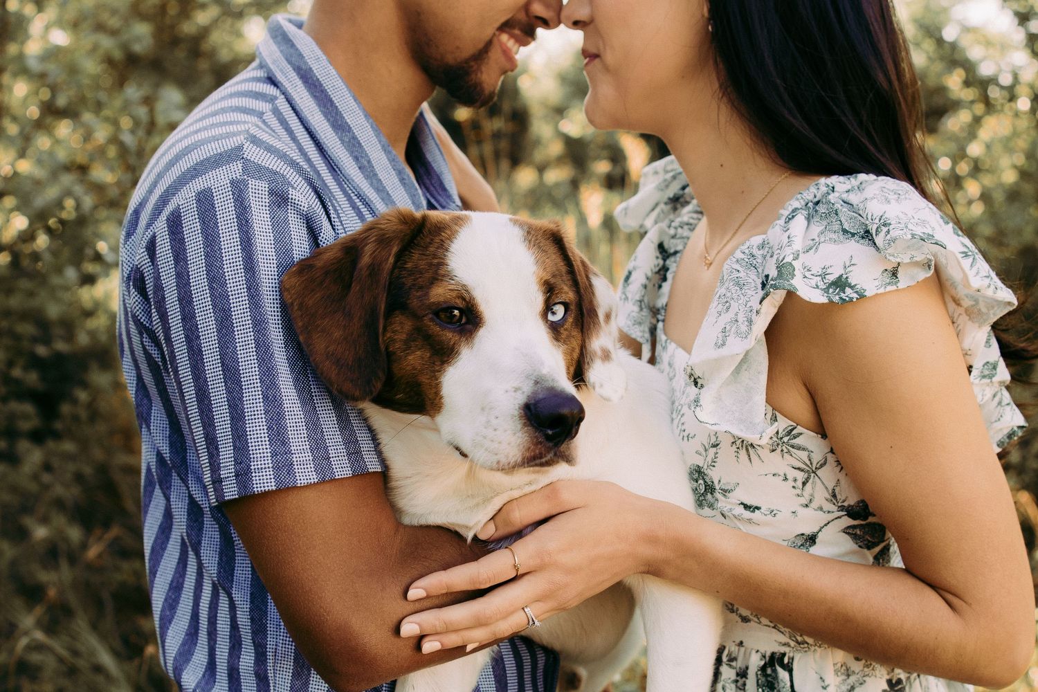 Outdoor engagement couple portrait in Manassas battlefield with puppy
