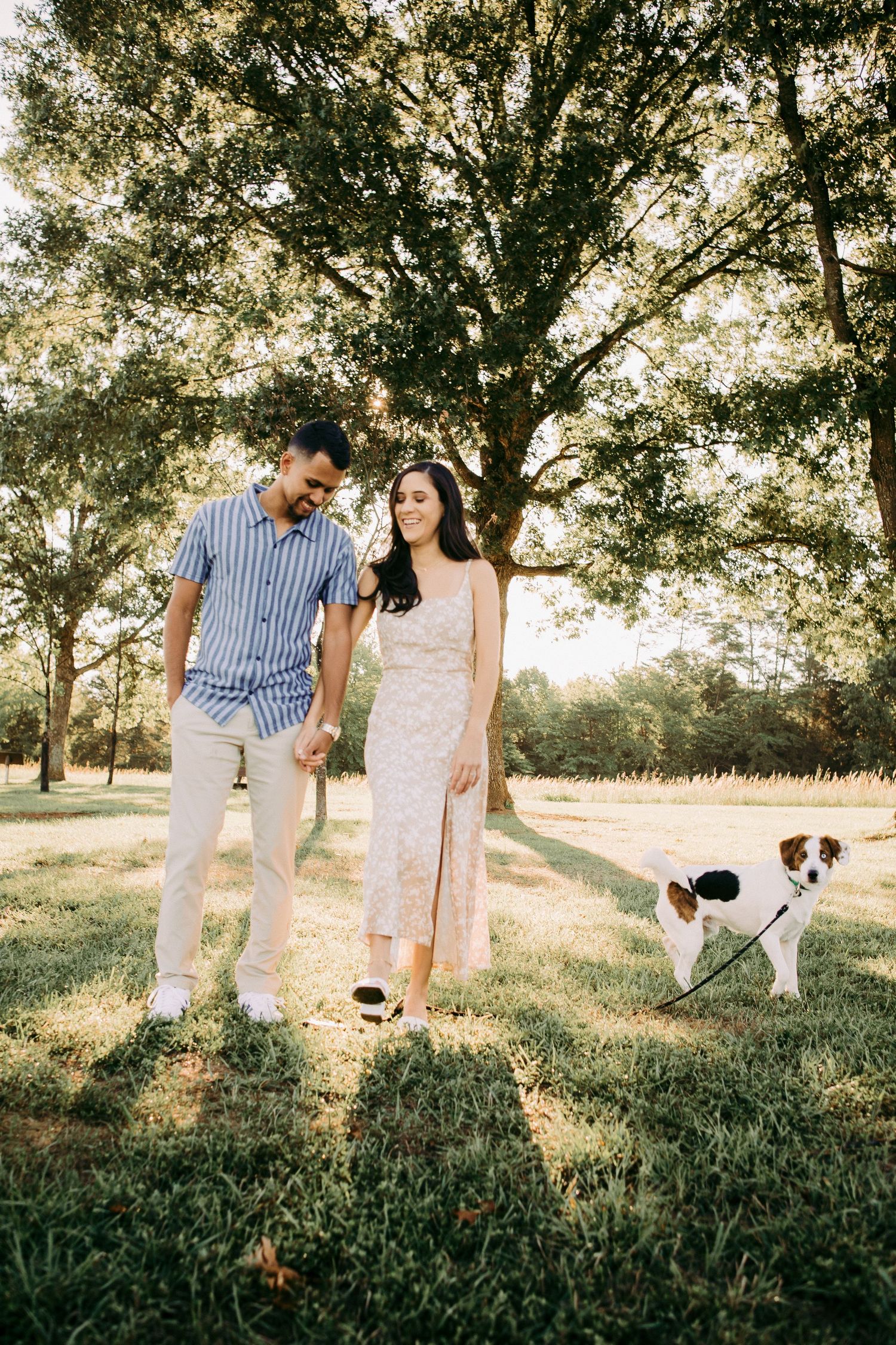 Outdoor engagement couple portrait in Manassas battlefield with puppy at golden hour